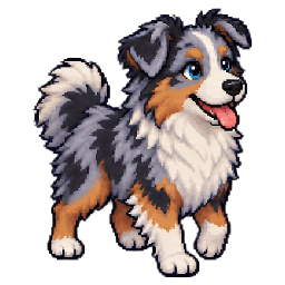 Benji, ein dreifarbiger Australian Shepherd